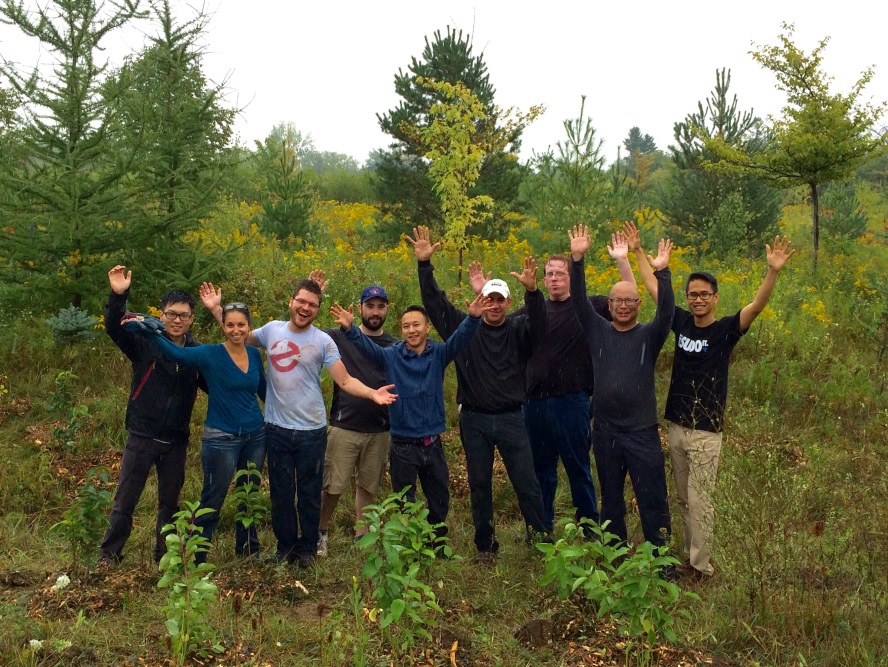 Pledge 1%: iTMethods Partners with Evergreen to Plant over 200 Trees!